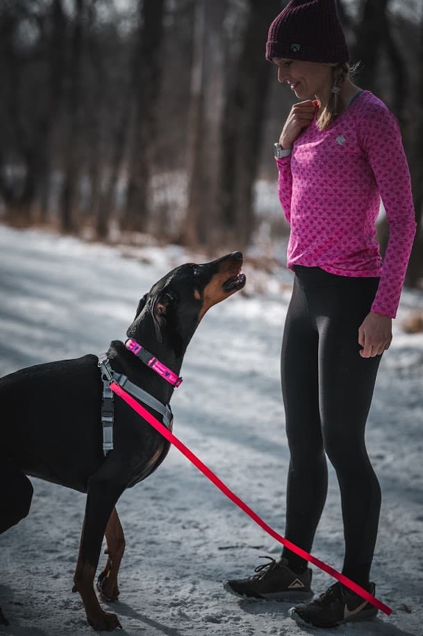 About Pup Culture AwardWinning Dog Walking and Cat Sitting around